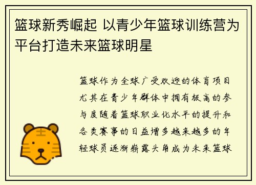 篮球新秀崛起 以青少年篮球训练营为平台打造未来篮球明星